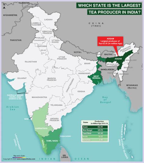 Map of India Showing the Largest Tea Producing State – Answers