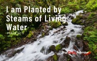 I Am Planted by Streams of Living Water | The Daily Promise