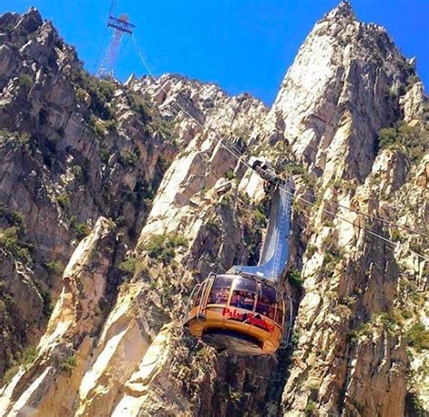 10 Tips for Visiting the Palm Springs Aerial Tramway - Cactus Hugs