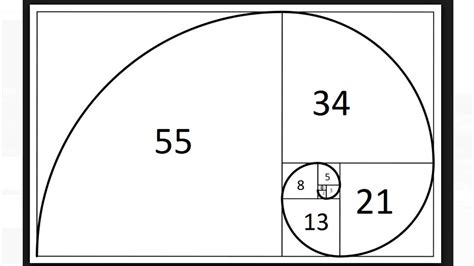 ¿Qué es la sucesión de Fibonacci? Todo sobre la fórmula de la naturaleza