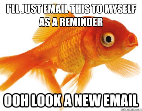 Forgetful Fish memes | quickmeme