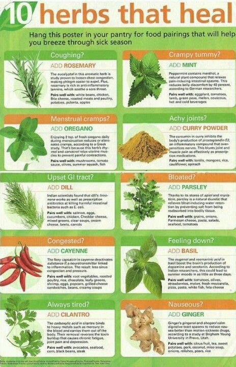 healing herbs | Healing herbs, Herbs, Herbs for health