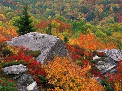 Fall Colors Photo by Ignwar | Photobucket | Blue ridge parkway north ...