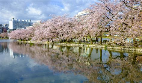 Ueno Park | Tokyo Cheapo