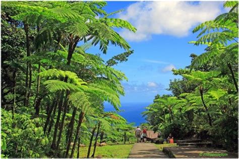 Guadeloupe National Park – Guadeloupe Travel – Afroculture.net