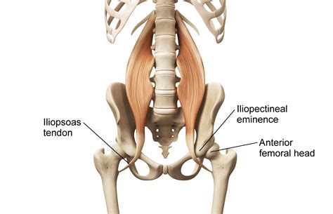 - Somatic Movement Center