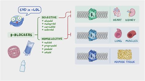 Beta-adrenergic blockers: Nursing pharmacology - Osmosis Video Library