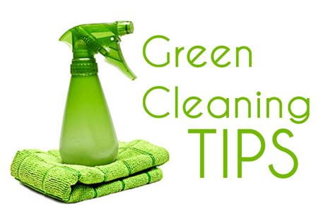 Green Spring Cleaning Tips | Express Recycling and Sanitation