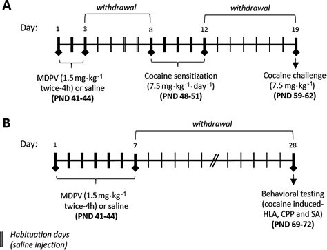 Exposure of adolescent mice to 3,4‐methylenedioxypyrovalerone increases ...