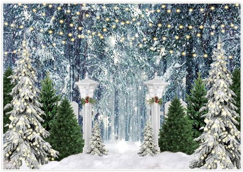 Buy Allenjoy 82" x 59" Christmas Forest Scene Photography Backdrop Xmas ...