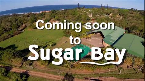 New activity at Sugar Bay - YouTube