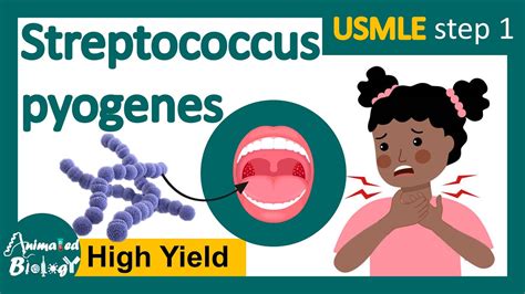 Streptococcus Pyogenes Infection