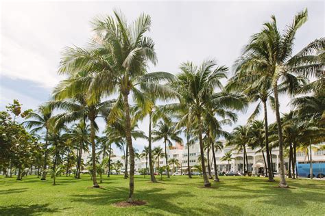 Miami's Lummus Park: The Complete Guide