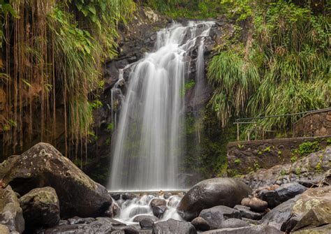 Top Waterfalls in Grenada | 2020 Travel Recommendations