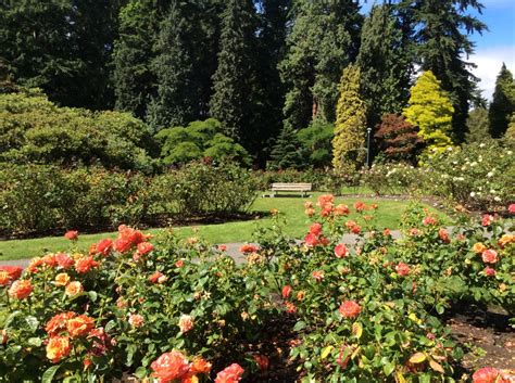 The Stanley Park Rose Garden in Vancouver, British Columbia | WanderWisdom