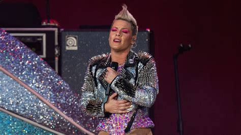 Singer Pink shocked after fan tosses dead mother's ashes on concert ...