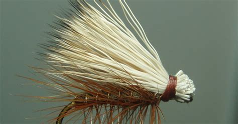 The Fly Guide: The Caddis Fly