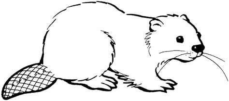 Beaver Coloring Pages - Best Coloring Pages For Kids