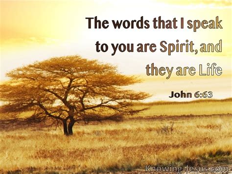 20 Bible verses about The Holy Spirit, And Preaching