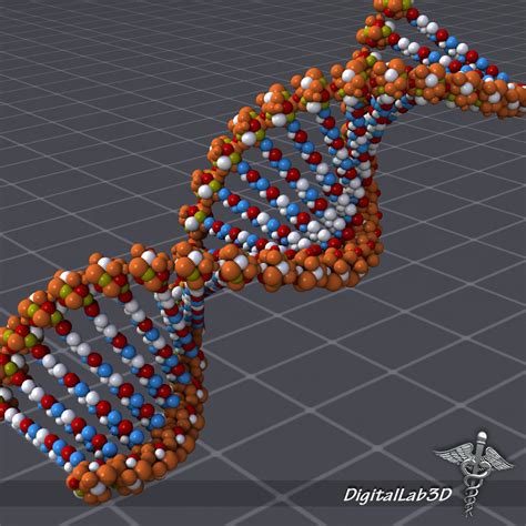 3D Dna Model Materials