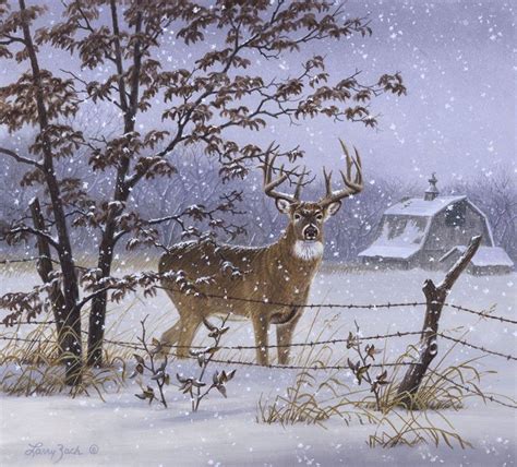 Evening Snowfall - Whitetail | Wildlife, Wildlife art and Paintings