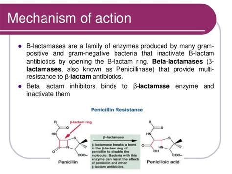 Beta lactamase inhibitors