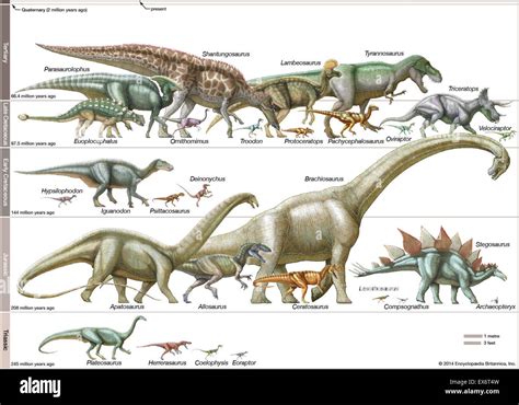 Dinosaurs Size Comparison Of Dinosaurs Size (scale Diagram… Flickr ...