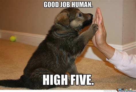 Congratulations Puppy. | Job memes, Good job, High five