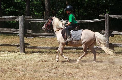 Pony Ride stock image. Image of tail, rider, riding, pony - 25935343