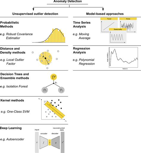 A Comprehensive Beginner’s Guide to the Diverse Field of Anomaly ...