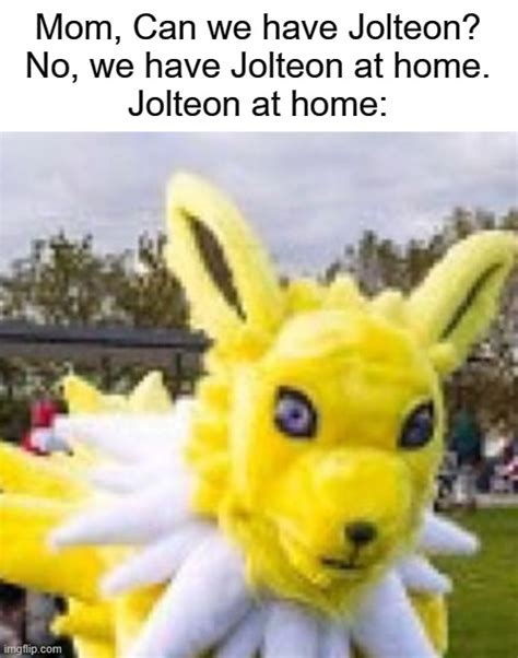 Jolteon at home - Imgflip