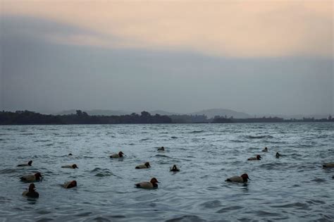 Sukhna Lake: A Serene Retreat in the Heart of Chandigarh