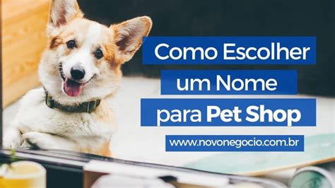 Nomes Para Pet Shop: 55 Ideias De Nomes Para Você Se Inspirar Novo Negócio