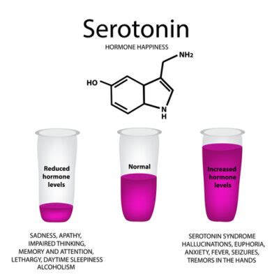 5-HTP (Serotonin) – The Dream Merchant's Shop