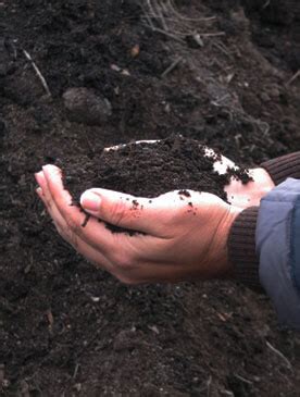 Composting is a Promising Option for Olive Mill Pomace Treatment