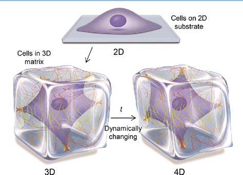 Biomimetic Materials | Semantic Scholar