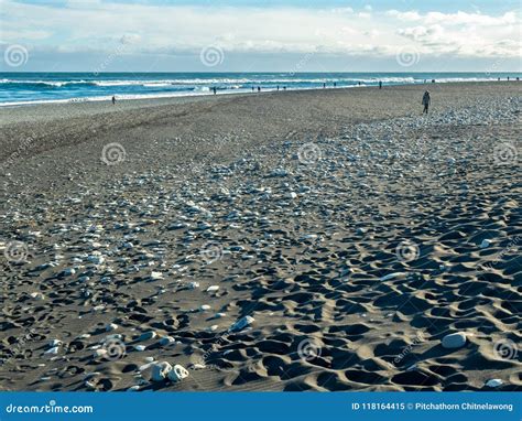 Black Sand Beach in Iceland in Winter Season Stock Image - Image of ...