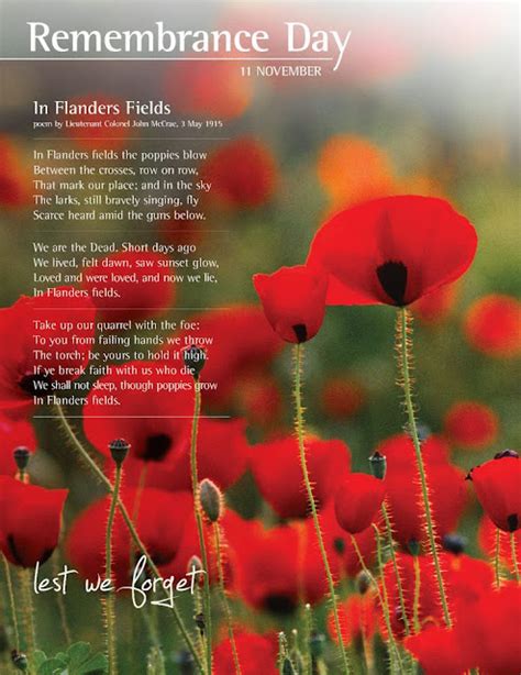 Armistice Day Quotes & Beautiful Quotation For Remembrance Day 2017