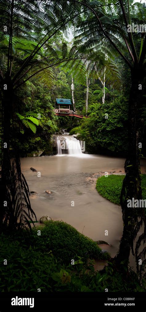 Rainforest and Parit Waterfall, Cameron Highlands Stock Photo - Alamy