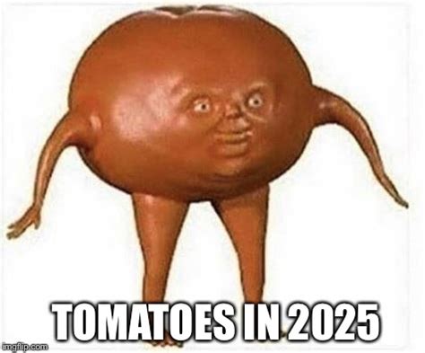 Tomato Meme