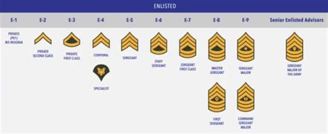 US Army Ranks & Insignia, Check Complete List In Order