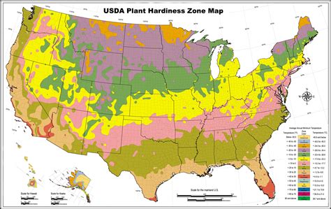 Usda Hardiness Zones Southern California