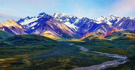 Denali National Park: An Absolute Guide For All Travelers