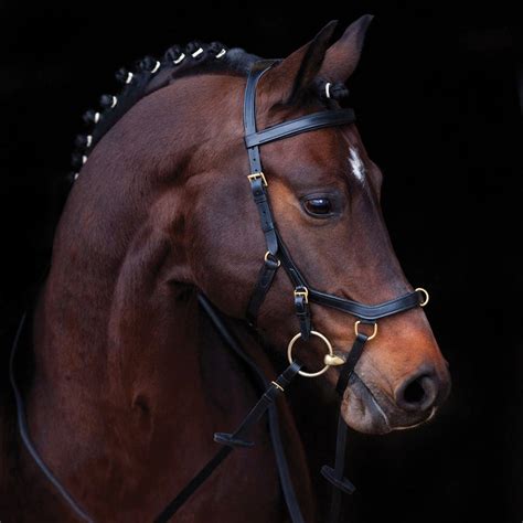 Dressage Bridles | The Farm House