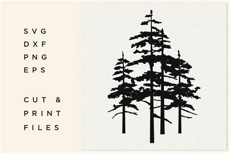 Pine Tree SVG, Trees Vector, Forest, Trees Silhouette (480260) | Cut ...