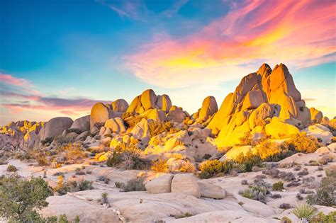 Joshua Tree National Park - Vast Desert Terrain and Stargazing Spot in ...