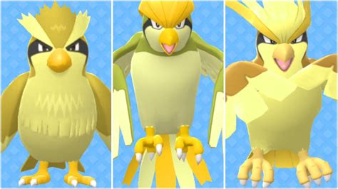 FULL PIDGEY EVOLUTION TEAM! Shiny Pidgey, Shiny Pidgeotto, Shiny ...