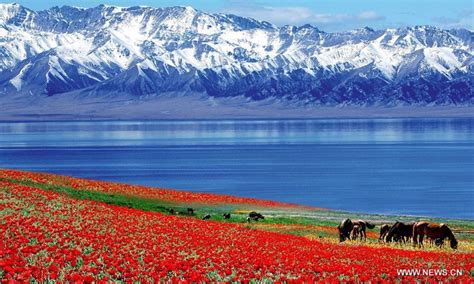 Travel to Xinjiang gains pace after foreign brands refuse region's ...