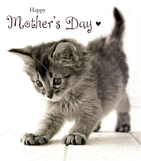 Happy Mothers Day Cute - Mothers Day 2015 Pictures, Pictures, Images ...