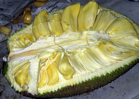 jackfruit | the heart thrills